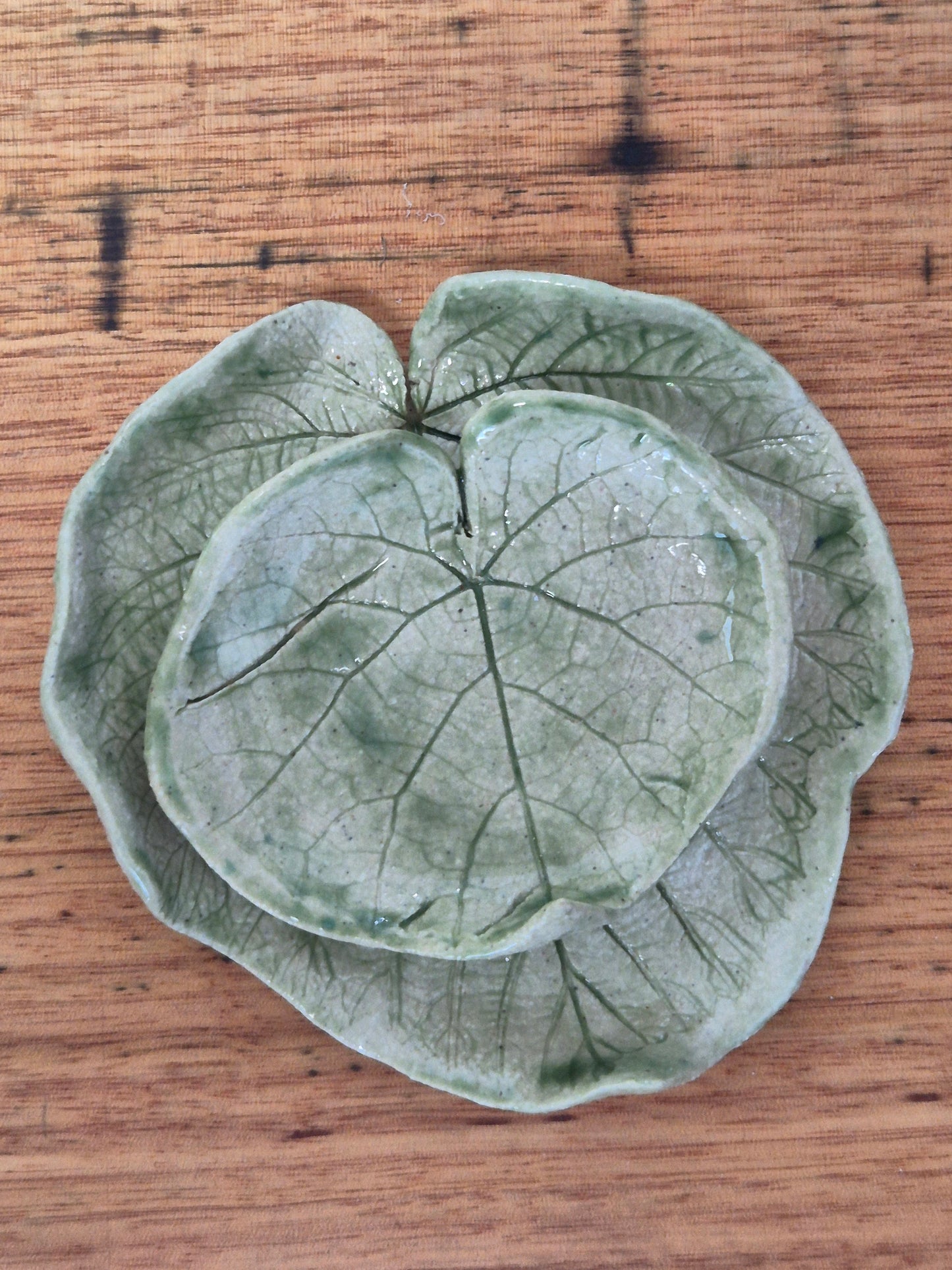 Set of 2 Ceramic Leaf dishes (Grape Vine)