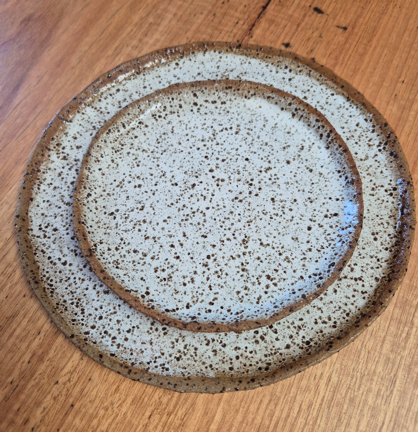 Set of 2 Rustic Ceramic Plates