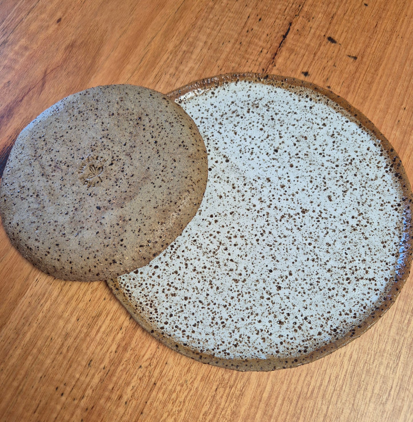 Set of 2 Rustic Ceramic Plates